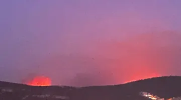 Milas’ta Orman Yangını