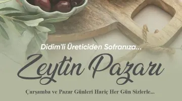 DİDİM BELEDİYE BAŞKANI HATİCE GENÇAY: “ZEYTİN ÜRETİCİLERİMİZ İÇİN YENİ BİR SATIŞ ALANI OLUŞTURUYORUZ”